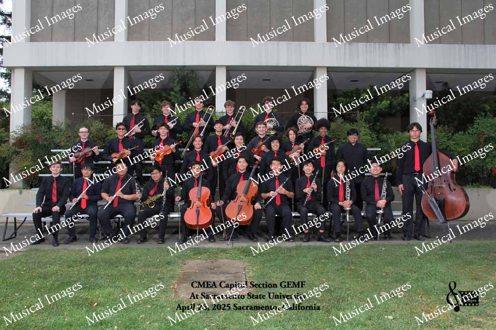 Musical Images